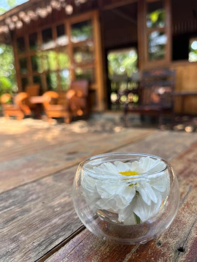 Moc An Nhien Farmstay Pleiku Kültér fotó